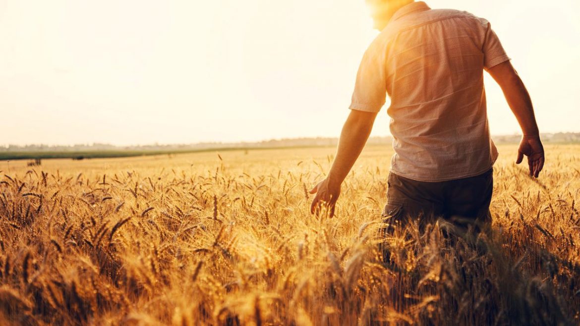 shutterstock_1437175922-scaled