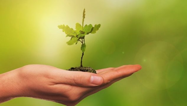 c86fe9b72f3a1e574365d79ff15a1d9b-879×500-633×360