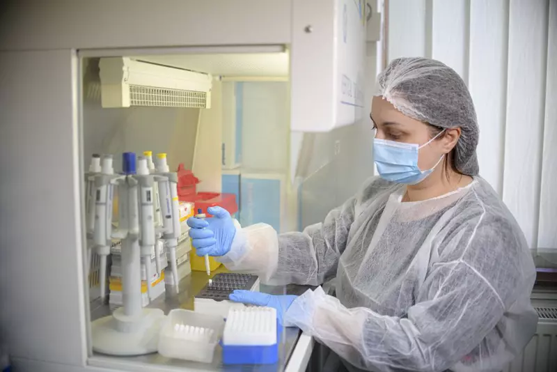 hepta5085397-2-1024×683-1024×683