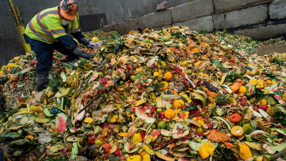 aproape-jumatate-productia-mondiala-mancare-ajunge-la-gunoi-2-miliarde-tone-718207