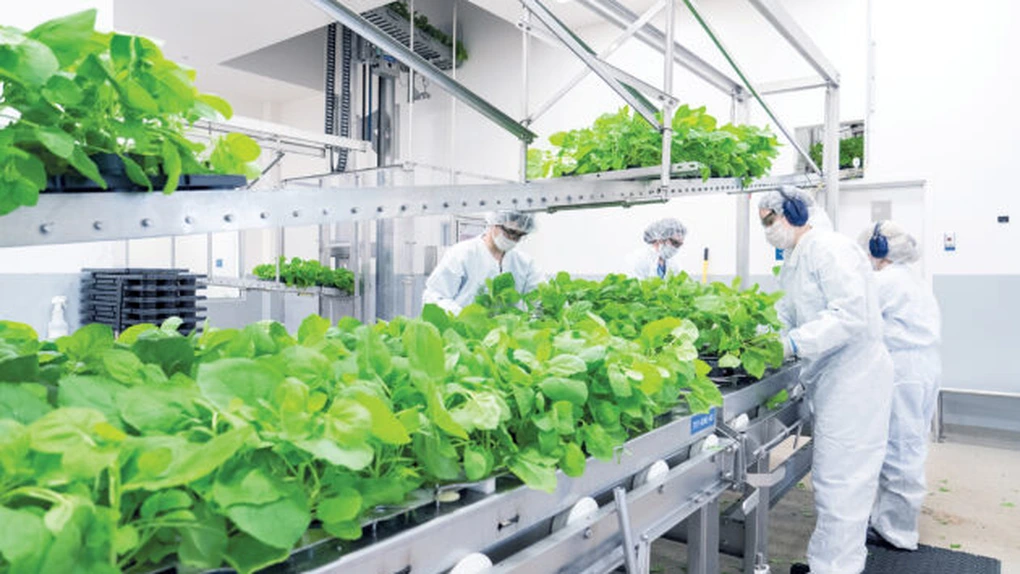 medicago-vaccin-630×420