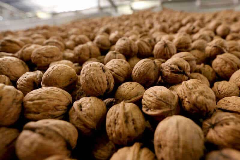 walnuts_australia