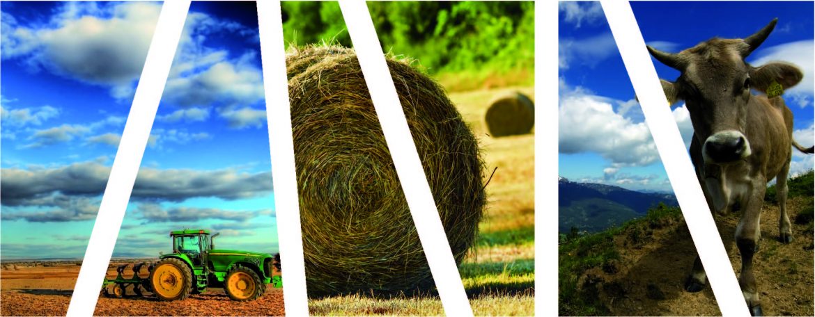 KV_APDRP_imagini_3elem