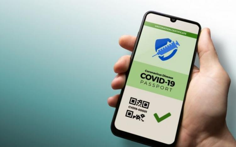 ef4d14023a750d4e7983b64ba20a06fe