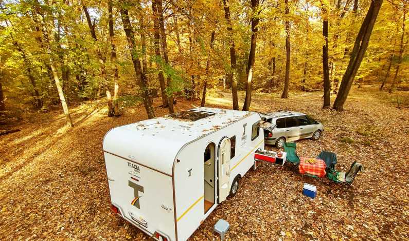 Tracia Caravan in padurea Snagov