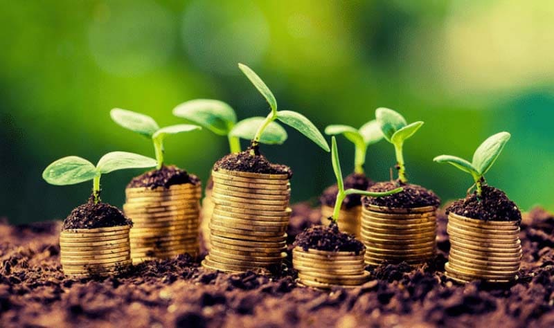 fonduri-europene-bani