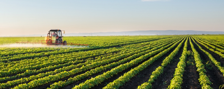 22e0b48b3d9397aa14ca58805639259c_XL