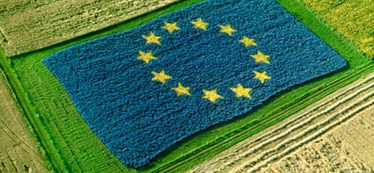 big_terenuri-steag-ue